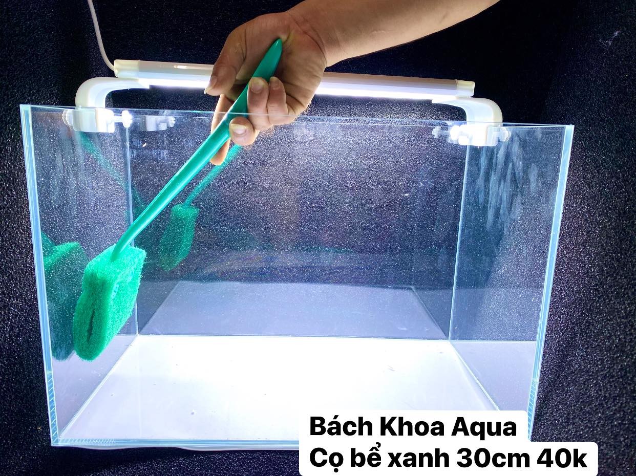 Cọ mút vệ sinh bể cá 30cm - 50cm